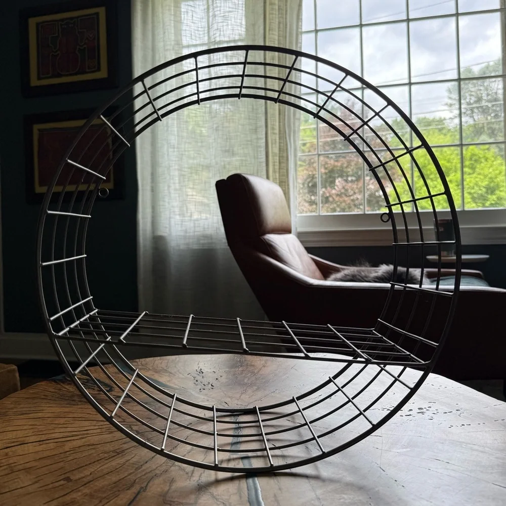 Round Metal Wire Wall Shelf